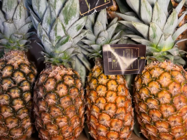Ananas Maison Manon